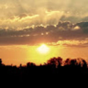 Meet your Posher, Daina